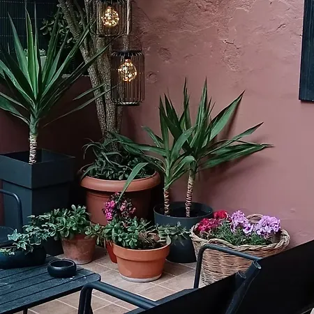 Adamantia's Artistic Place * Patras