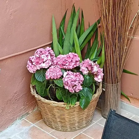 Lejlighed Adamantia's Artistic Place